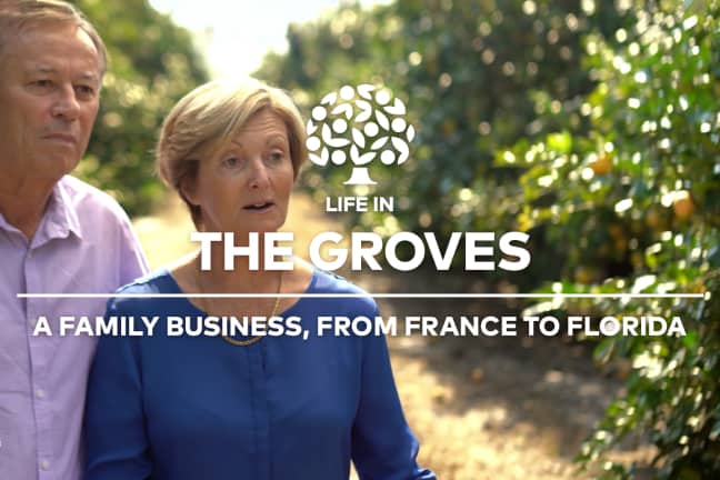 The Groves.jpg