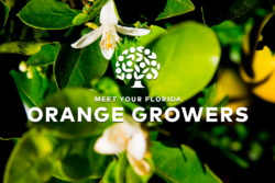Meet Your Florida Orange Growers