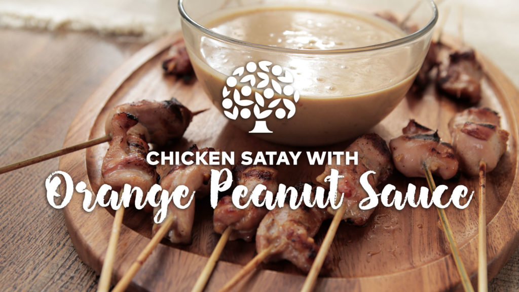 Chicken Satay with Orange Peanut Sauce
