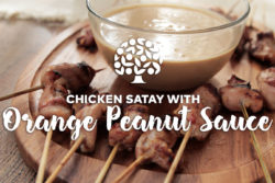 Chicken Satay with Orange Peanut Sauce