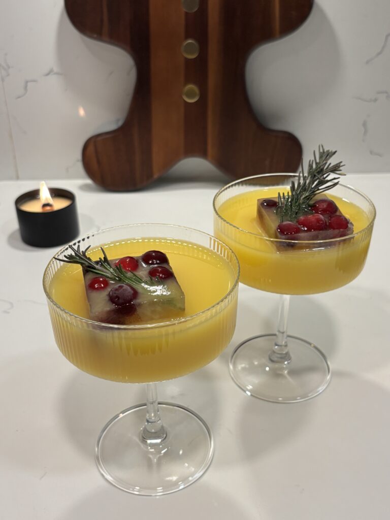 Florida OJ Ice Cubes