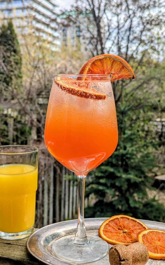 Non-Alcoholic Florida Orange Juice Spritz
