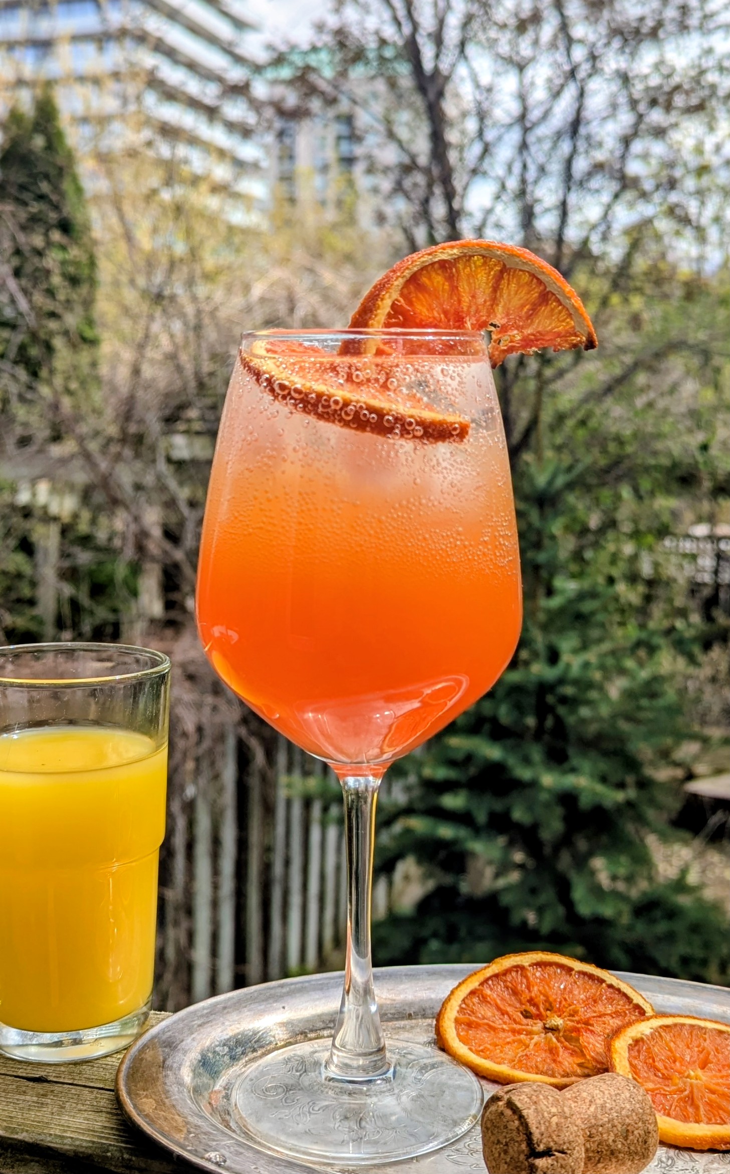 Non-Alcoholic Florida Orange Juice Spritz